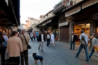 JEDEN DZIEŃ WE FLORENCJI / dsc1546.jpg