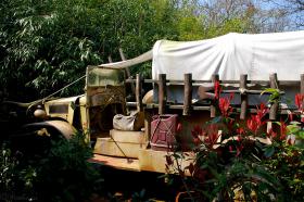 DISNEYLAND POD PARYŻEM / image_0033.jpg