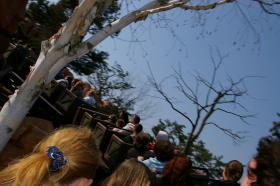 DISNEYLAND POD PARYŻEM / image_0055.jpg