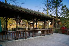 DISNEYLAND POD PARYŻEM / image_0135.jpg
