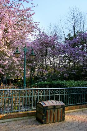 DISNEYLAND POD PARYŻEM / image_0141.jpg