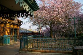 DISNEYLAND POD PARYŻEM / image_0143.jpg