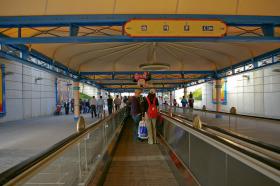 DISNEYLAND POD PARYŻEM / image_0160.jpg