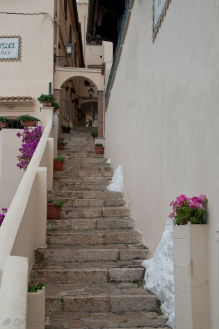 PLAŻOWA SPERLONGA / dsc2579.jpg