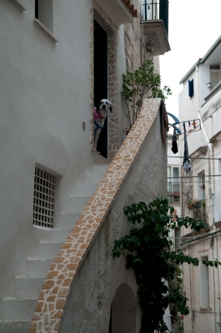 PLAŻOWA SPERLONGA / dsc2633.jpg