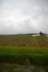 ZAMKI NAD LOARĄ / image_0005.jpg