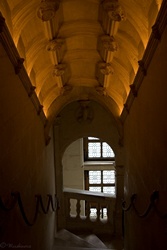 ZAMKI NAD LOARĄ / image_0044.jpg