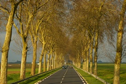ZAMKI NAD LOARĄ / image_0197.jpg